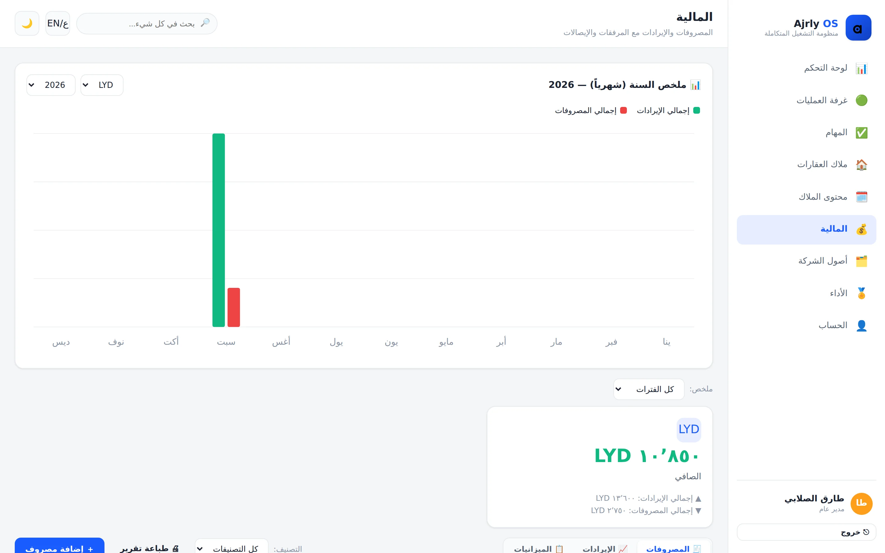 المالية: ملخص سنوي بالإيرادات والمصروفات والصافي بالدينار، مع الميزانيات وتقرير للطباعة